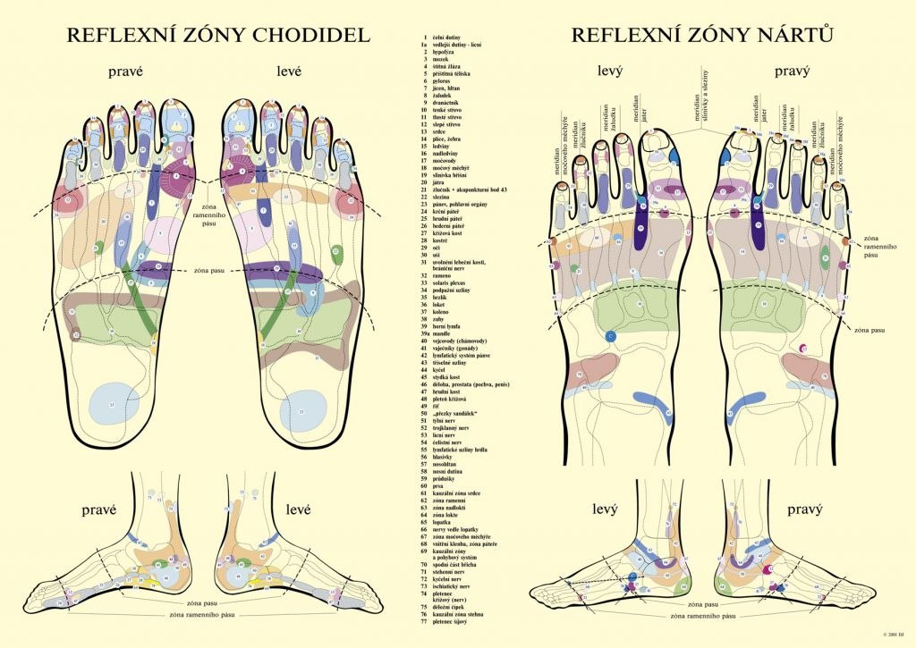 Mata do akupresury z poduszką MOVIT 75 x 44 cm, niebieska